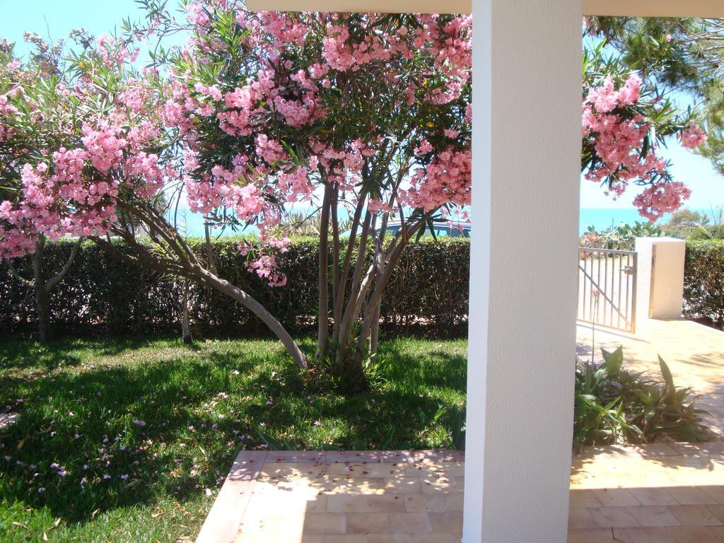 Cala Vigliena Il Sole Negli Occhi Villa Punta Braccetto Room photo